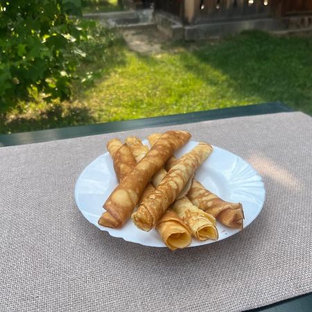 Pensiunea Iza Viseu de Jos Zewnętrze zdjęcie
